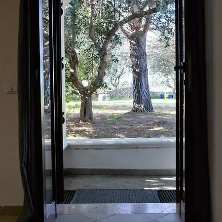 Affittacamere Degli Ulivi