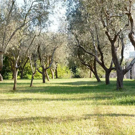 Degli Ulivi Affittacamere Otranto