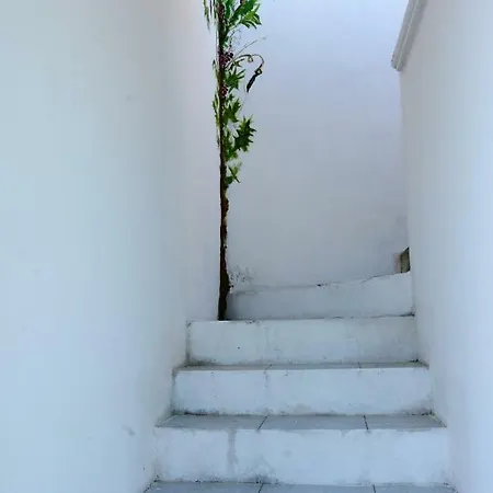 Degli Ulivi Affittacamere 3*
